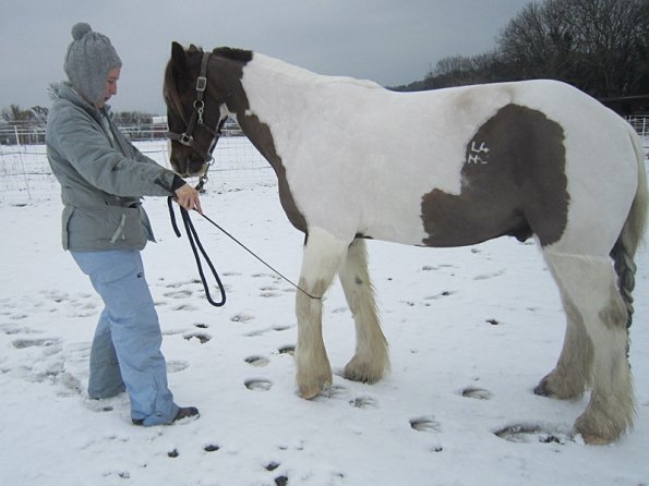 Practising bowing (8)
