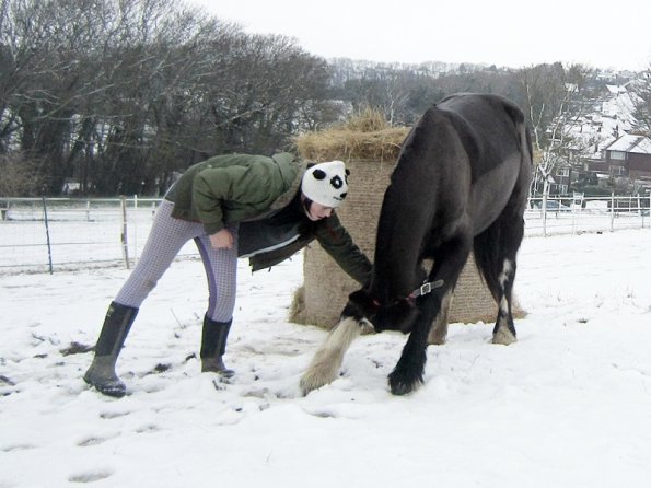 Teaching Jess to bow (10)