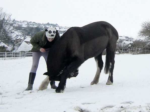 Teaching Jess to bow (2)