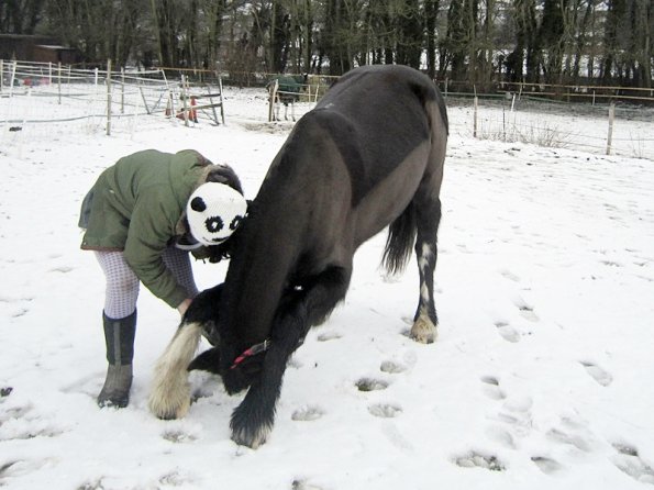 Teaching Jess to bow (3)