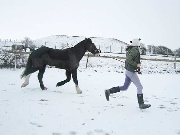 Teaching Jess to bow (4)