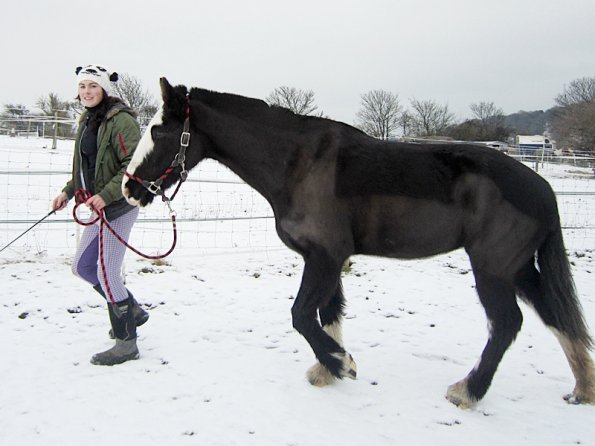 Teaching Jess to bow (5)
