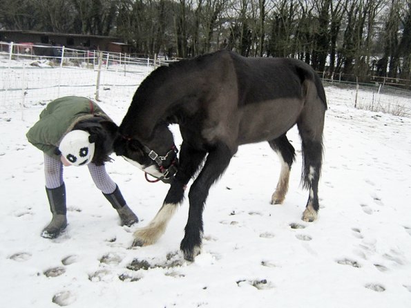 Teaching Jess to bow