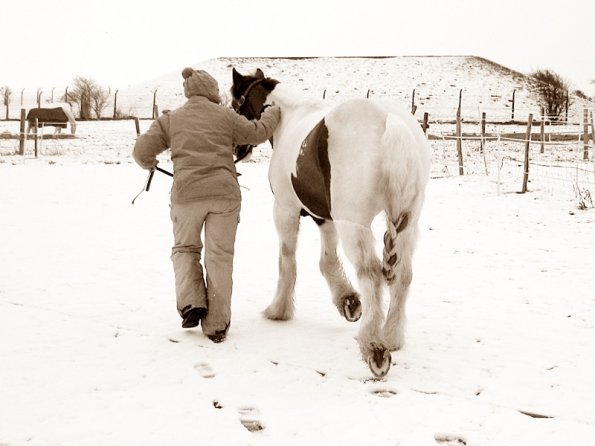 Walked off into the white (2)