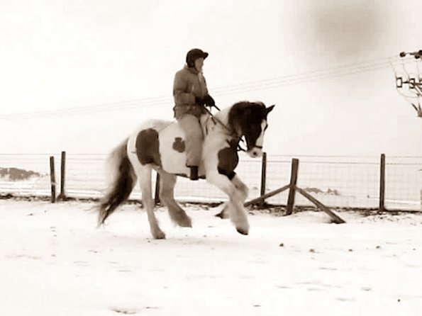 White canter on Lance