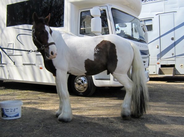 Posing everywhere (10)