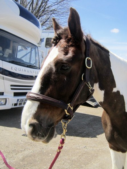 Posing everywhere (11)