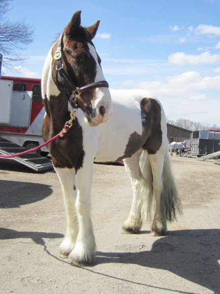 Posing everywhere (12)