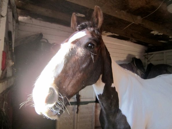 Posing everywhere (2)