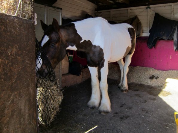 Posing everywhere (3)