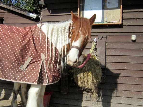 Posing everywhere (4)