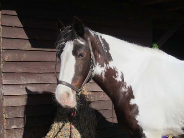 Posing everywhere (5)