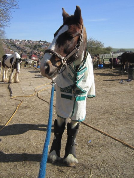 Posing everywhere (6)