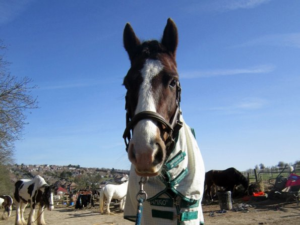 Posing everywhere (7)