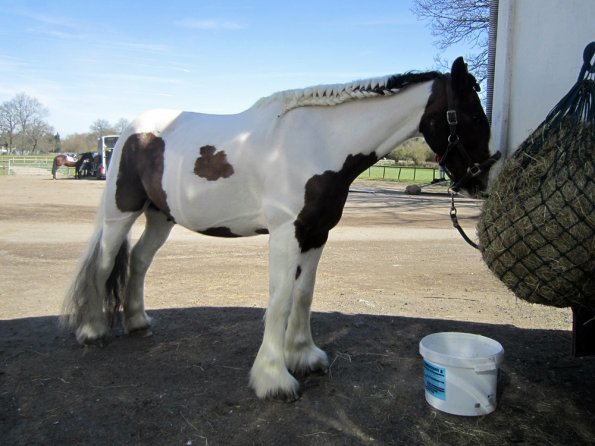 Posing everywhere (8)