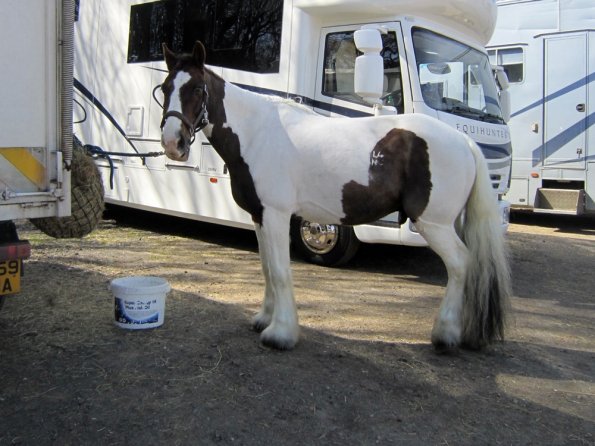 Posing everywhere (9)