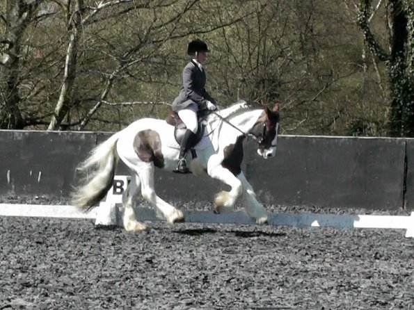 Prelim 14 Dressage (3)