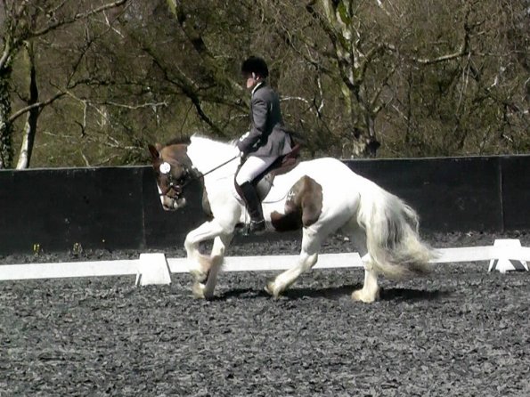 Prelim 14 Dressage (4)