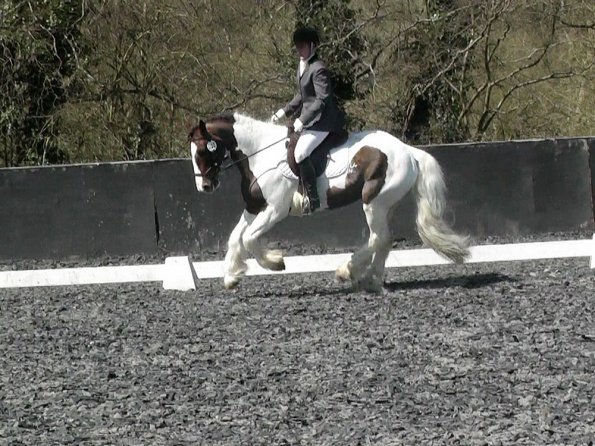 Prelim 14 Dressage (5)