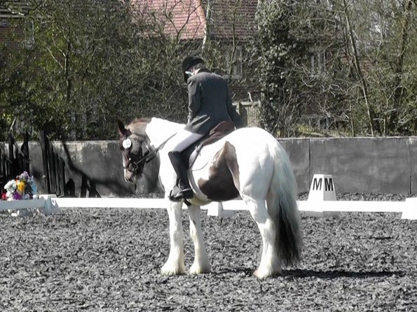 Prelim 14 Dressage (6)