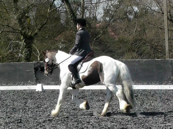 Prelim 14 Dressage (7)