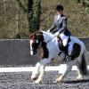 Pro Dressage