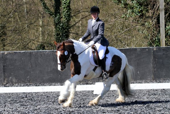 Pro Dressage