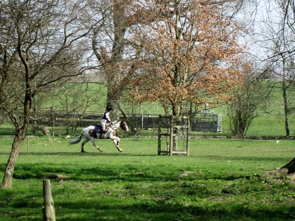 Lance gallop through forest