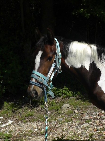 06-08-2013_100726(1)