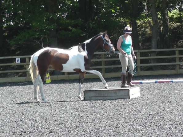 06-08-2013_104924(2)