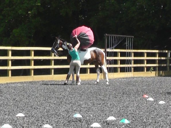 06-08-2013_105444(1)