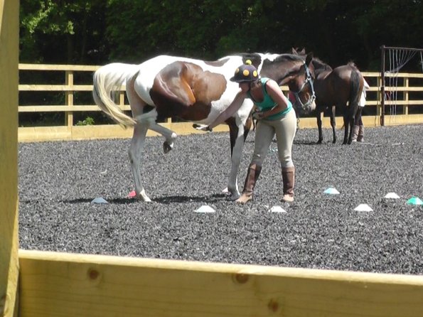 06-08-2013_105444(10)