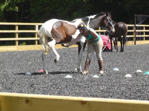 06-08-2013_105444(15)