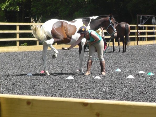 06-08-2013_105444(16)