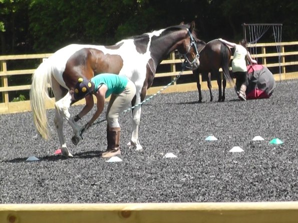 06-08-2013_105444(17)