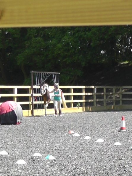 06-08-2013_105444(2)