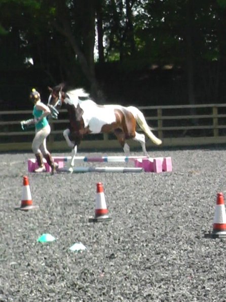 06-08-2013_105444(5)