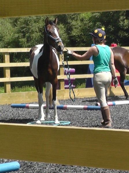 06-08-2013_105444(6)