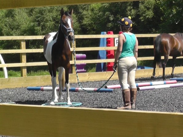 06-08-2013_105444(7)