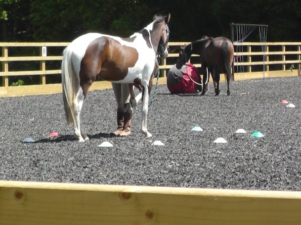 06-08-2013_105444(8)