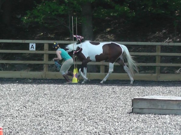 06-08-2013_110334(1)