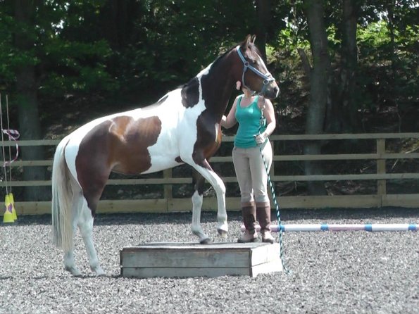 06-08-2013_110334(2)