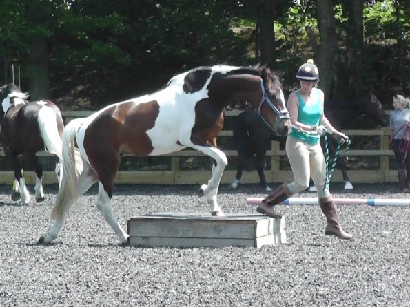 06-08-2013_110334(3)