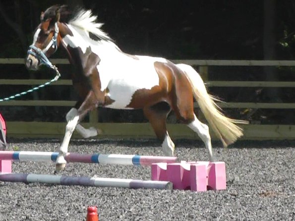 06-08-2013_112014(3)