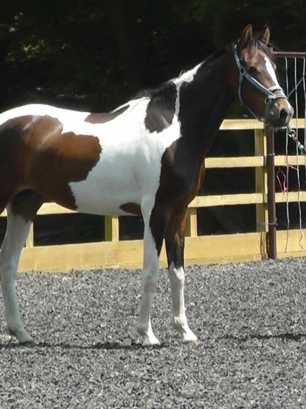 06-08-2013_112014(5)