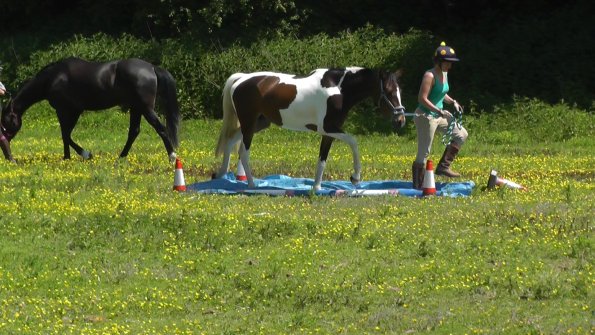 06-08-2013_112629(1)