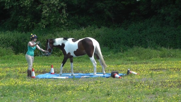 06-08-2013_112629(3)