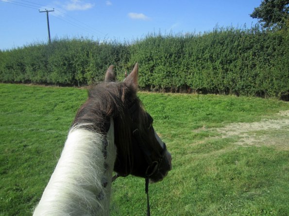 Appley and Lance charity ride (14)