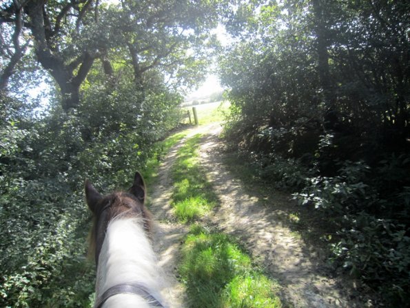 Appley and Lance charity ride (2)