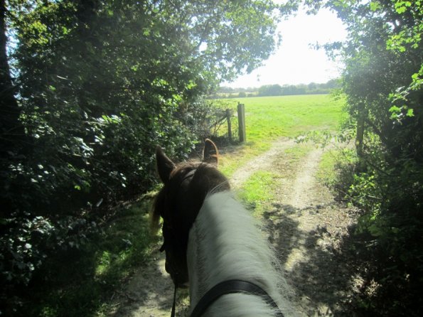 Appley and Lance charity ride (6)